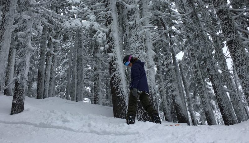 stephanie-kemp-snowboarding-in-trees